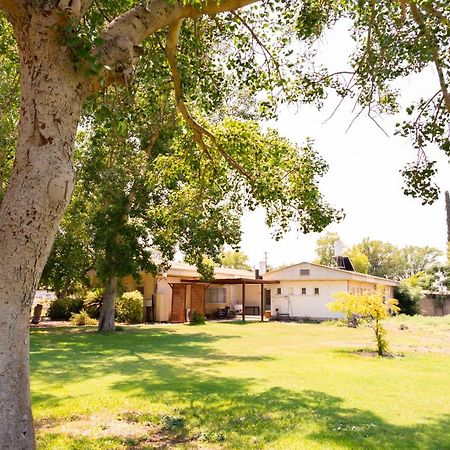 Aliyah Return Center Bed and Breakfast Degania Bet Exteriör bild