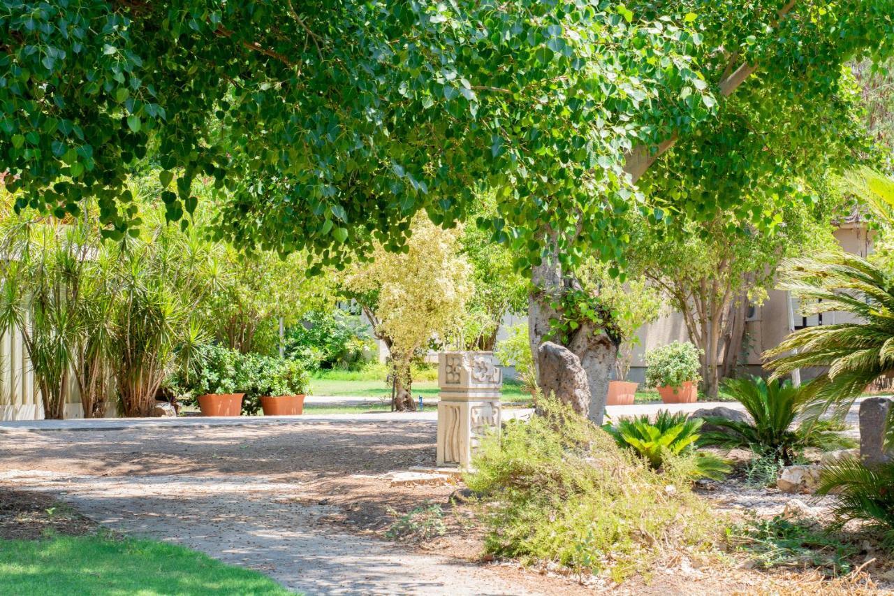 Aliyah Return Center Bed and Breakfast Degania Bet Exteriör bild